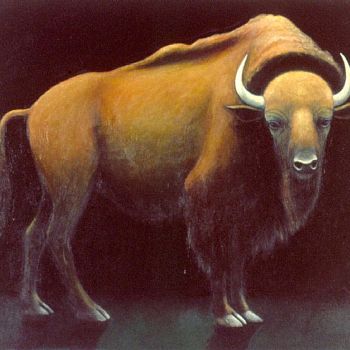 oil on canvas42''x47''
The buffalo is a protector spirit, ensuring that you will always have what you need. It has done that for me since I painted it. Now it is time to let it go.
It is now in the permanent collection of Keweenaw Bay Tribal College in L'Anse, Michigan. The Buffalo is one of their spirit animals.